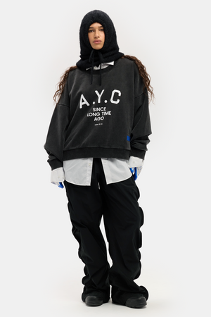 A.Y.C (Am Yisrael Chai)  unisex SWEATSHIRT