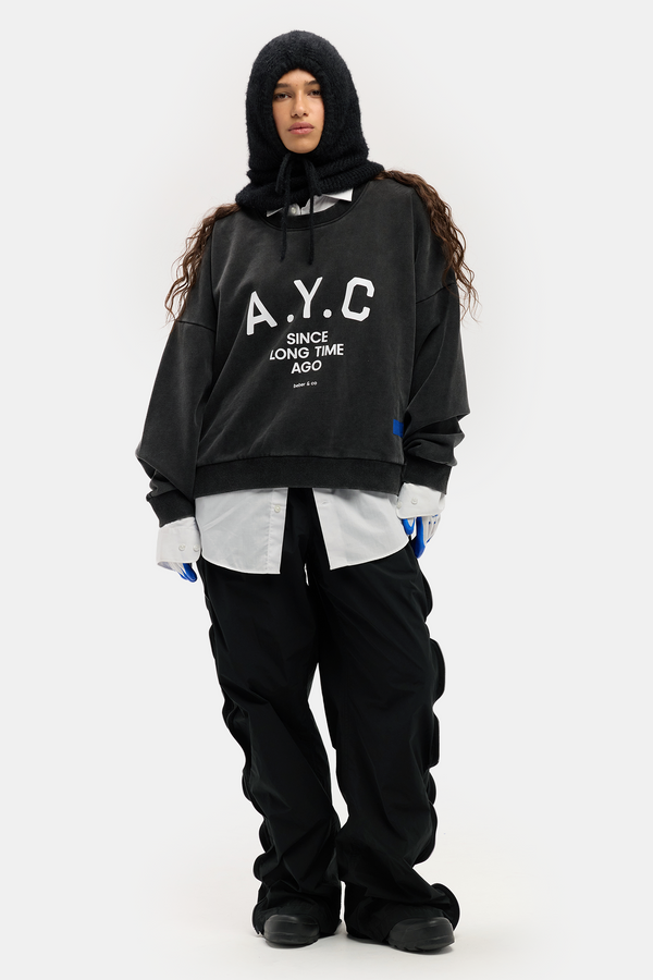 A.Y.C (Am Yisrael Chai)  unisex SWEATSHIRT
