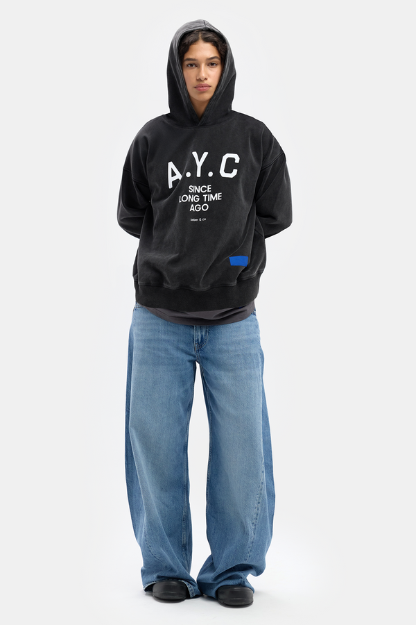 A.Y.C (Am Yisrael Chai) unisex HOODIE